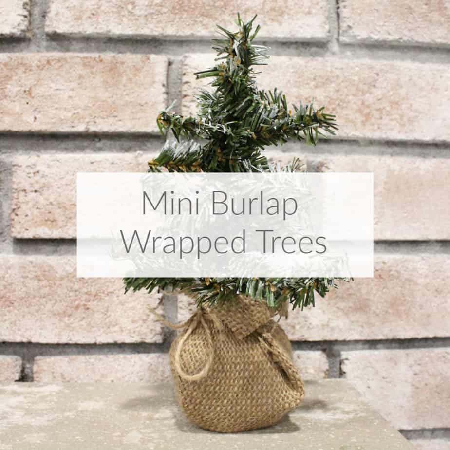DIY Mini Burlap Wrapped Trees